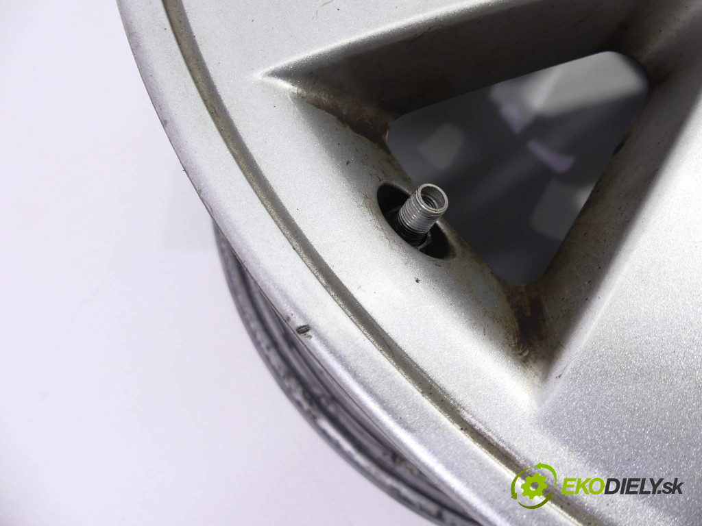 Renault Megane Scenic       0  hlinikové disky -